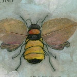 Meet your Posher, Lee Ellen